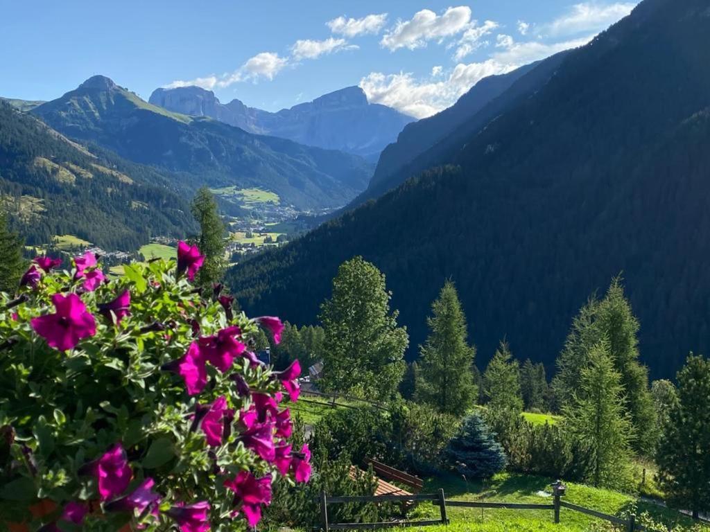 Chalet Relax Pozza di Fassa Ngoại thất bức ảnh