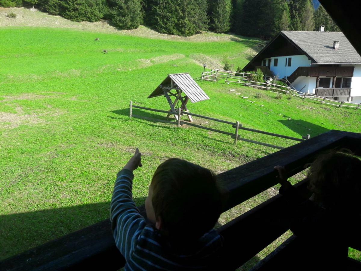 Chalet Relax Pozza di Fassa Ngoại thất bức ảnh